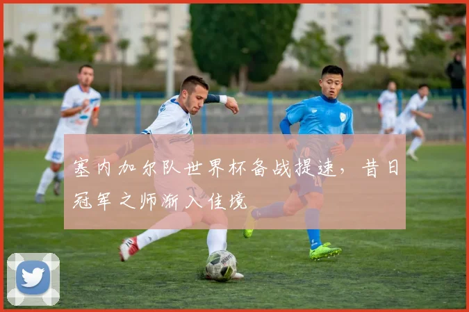 塞内加尔队世界杯备战提速，昔日冠军之师渐入佳境