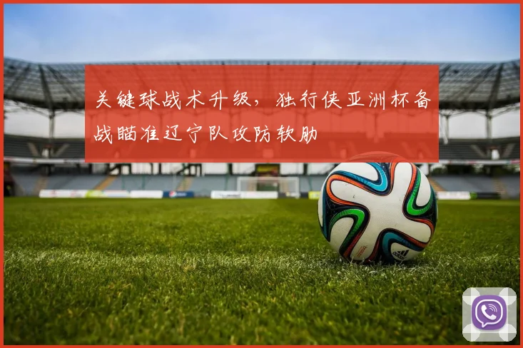 关键球战术升级，独行侠亚洲杯备战瞄准辽宁队攻防软肋